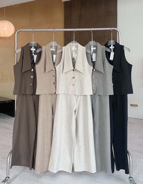 Two Piece Turn Down Collar Single Breasted Button Top with Trouser